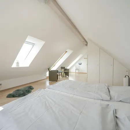 Appartement Grosszuegige Auf Zwei Ebenen Mit Infrarotsauna *